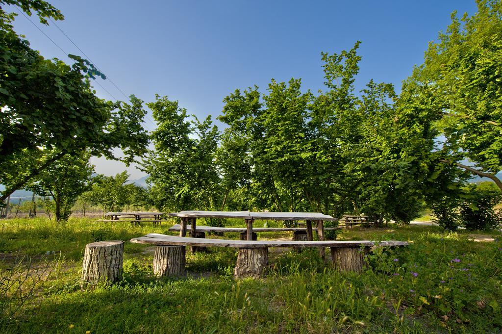 Tenuta Ippocrate Montefredane Экстерьер фото